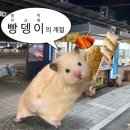 오케이푸줏간 | 우린 아직 청춘