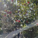 스테이 지천 이미지