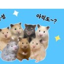 모아전산잉크가이서울6지역센터 | 최초블챌글이 되고싶었지만 그러지 못한 글.. (취뽀 큐엔에이 모아모아)