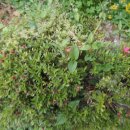 해솔마을11단지 휴먼시아 이미지