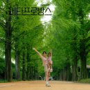 메타길 | 담양 메타프로방스와 메타세쿼이아길 아이와 가기 좋은 여행코스