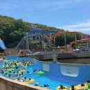 홍천집 | 홍천 비발디파크 근처 막국수집 후기 _ 홍천메밀가