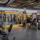 아폴로휘트니스 이미지