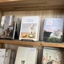 야옹서가