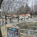 드림랜드(아) 이미지