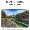 금수강산 Daum카페