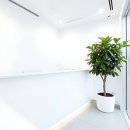 서울이플란트치과의원 이미지