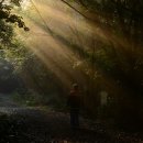 동산12 태양광발전소 이미지