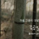 죽공 이미지