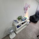 스터디홀덤