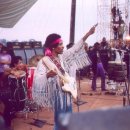 우드스탁(woodstock) 이미지