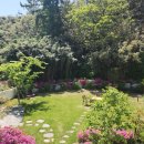 영진우리집 이미지