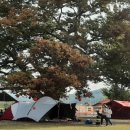 피플앤독느티캠핑장 이미지