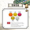 자비불교사 이미지