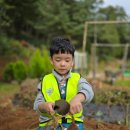 북로농장 이미지
