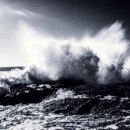 풍무올치과의원 이미지