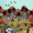 럭투밋(Lucky to meet U) 이미지