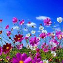 연양초등학교31회카페에서 이미지