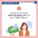 아이비공부방