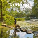 월영연못공원 | 안동 여름 여행 낙강물길공원 애견 동반 가볼만한곳