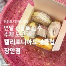 캘리포니아도넛클럽 장안점 이미지