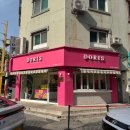 속초 중앙시장 맛집 도리스파리세리 에그타르트 오호상자 포장 후기