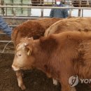 신기리농장 이미지