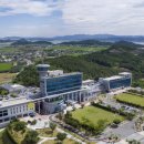 신안성장 이미지