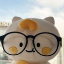 (주)나비플랫폼