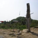 삼양농장 이미지