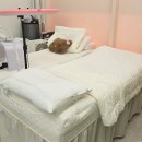 모내기 - 포천시 군내면 | [순천속눈썹펌] 눈동자까지 잠들어야 완성되는 '모내기래쉬' 대환장 힐링 후기!
