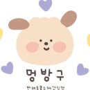 멍방구 이미지