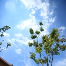 달빛강가 이미지