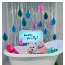 헬로우프리티 이미지