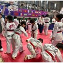 예전태권도 이미지