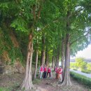 동촌유원지 녹수대 이미지