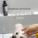 진이네 강아지풀 이미지