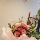 소유플레르 이미지