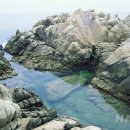 노벰버리조트 이미지