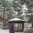 퓨어어페럴 이미지