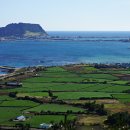 당근바다 이미지