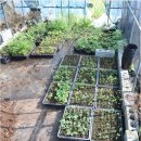 동거목장 이미지