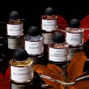 솔잎향기 | 바이레도 집시워터 앱솔뤼 시향 후기｜오리지널과 확연히 달라진 향기