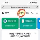 유한회사 정직한테크 | 카드 필요할때 캐시백, 포인트 받을 수 있는 카드테크(Feat. 신한카드 발급 후 네이버 포인트 등록완료)