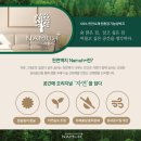 보금목재 | [나무플러스(현 나무앤케어)] 천연벽지 나무 소개 '건강친화형 주거 공간의 시대'를 열다 (천연벽지...