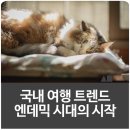 금성관광㈜ | 국내 여행 트렌드 엔데믹 시대 호텔, 모텔 숙박업의 방향은?