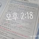 털보네 | 남영역 맛집 - 본투비 마늘치킨, 털보네떡꼬치 후기