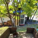 카페마차 이미지