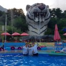 허브힐펜션 이미지