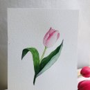 수채 캘리그라피(A) 이미지